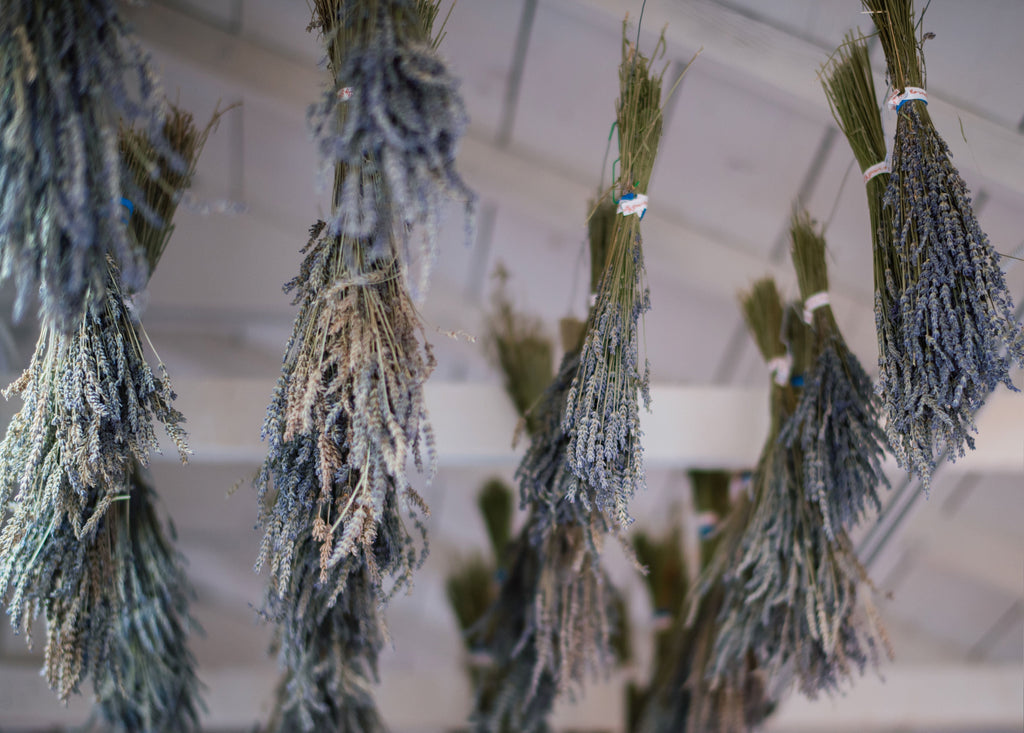 Dinner at the Lavender Farm | June 17, 2023