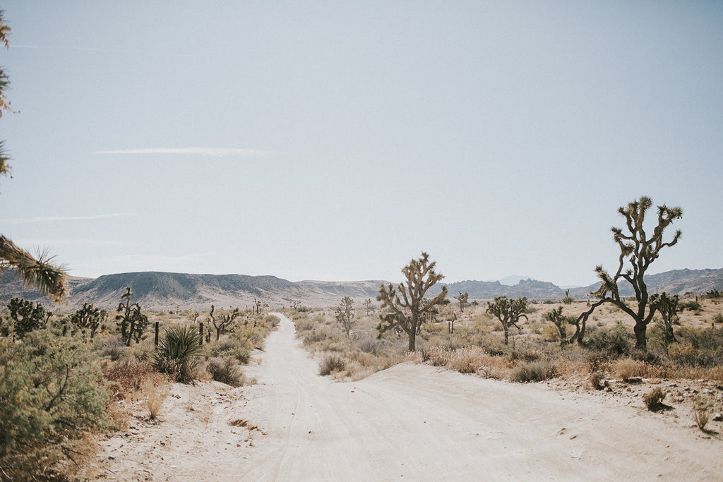 (OUT) WEST. Dinner in Joshua Tree | September 30, 2023