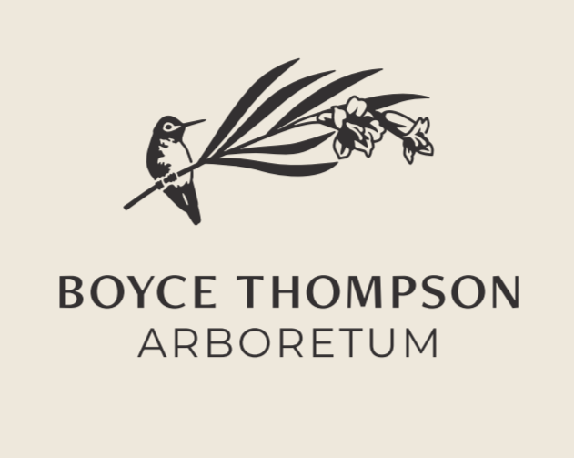 Dinner in the Superstitions Benefitting Boyce Thompson Arboretum | April 13, 2024