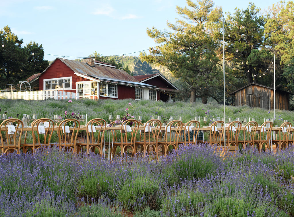 Dinner at the Lavender Farm | September 6, 2025