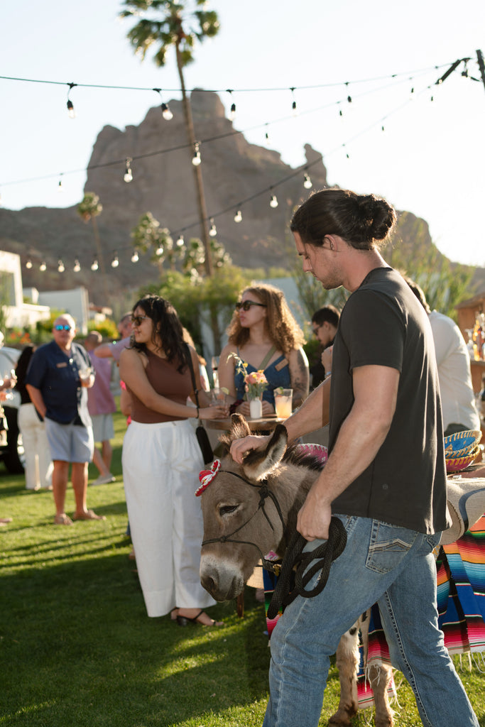 Sanctuary Camelback Mountain