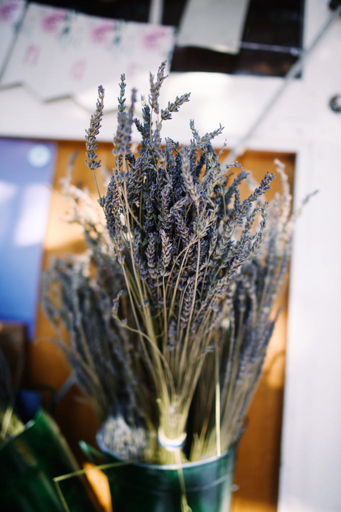 Dinner at the Lavender Farm | September 6, 2025