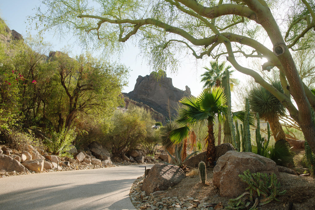 Sanctuary Camelback Mountain