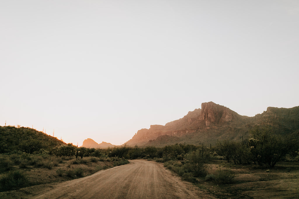 Beginnings Desert Dinner | January 18, 2020