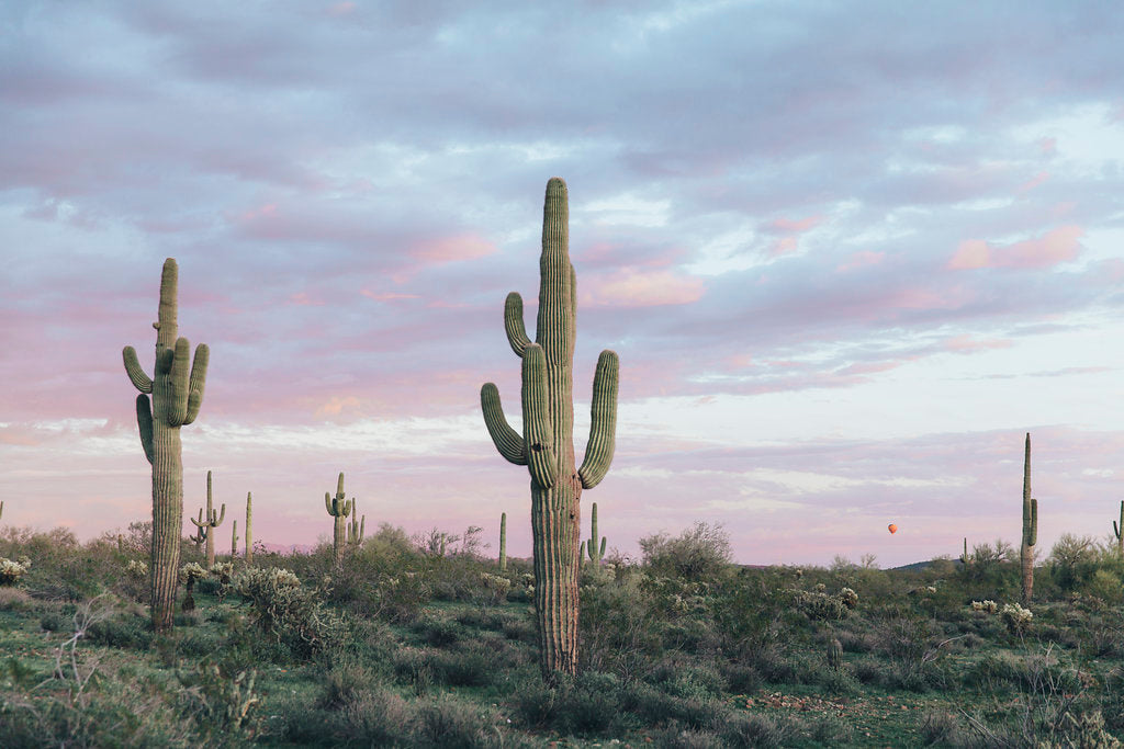 Valentines Desert Dinner | February 14, 2020