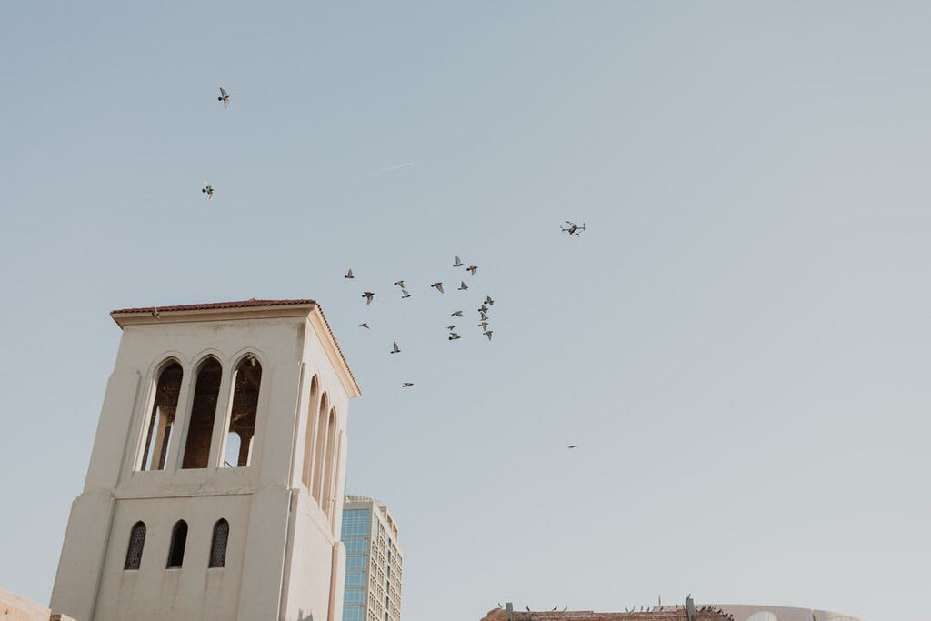 Valentine's at The Abbey | February 17 & 18, 2023