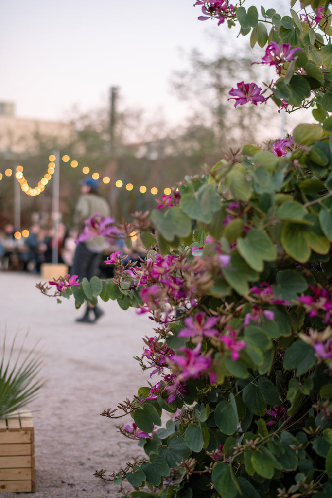 Verde Series, Vol. V: High Tea with Copperstate Farms | April 20 & 21, 2023