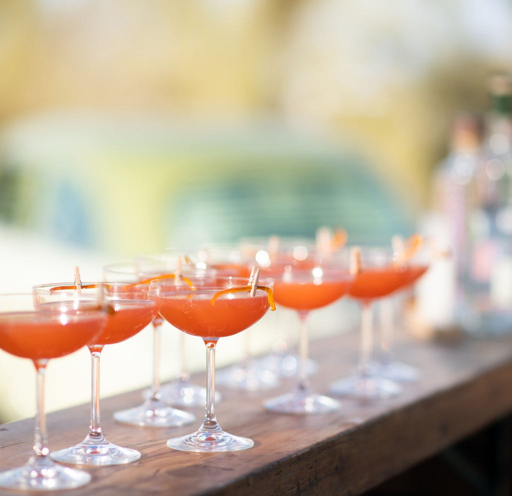 Sunset in the Sonoran Desert Dinner | January 23, 2022