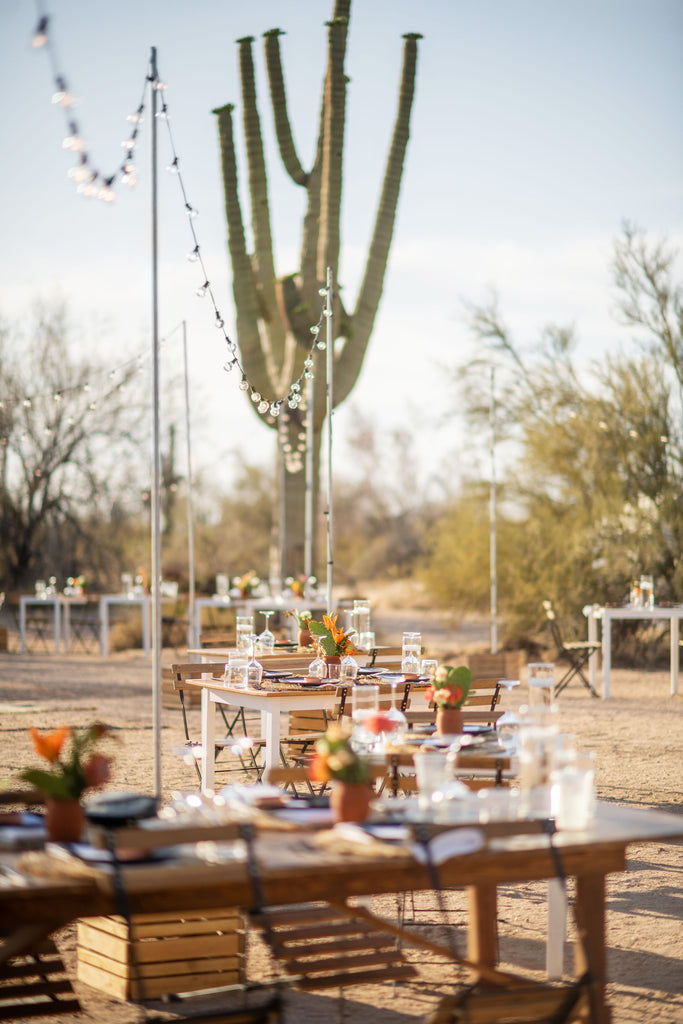 Sunset in the Sonoran Desert Dinner | January 23, 2022