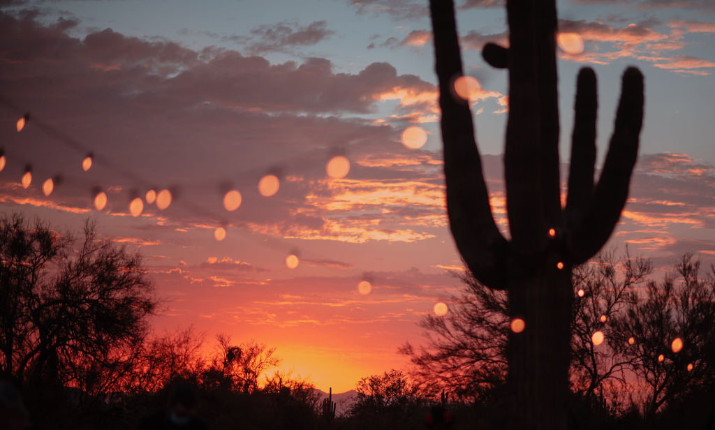 Valentine's Desert Dining Experience | February 12, 13, & 14, 2021