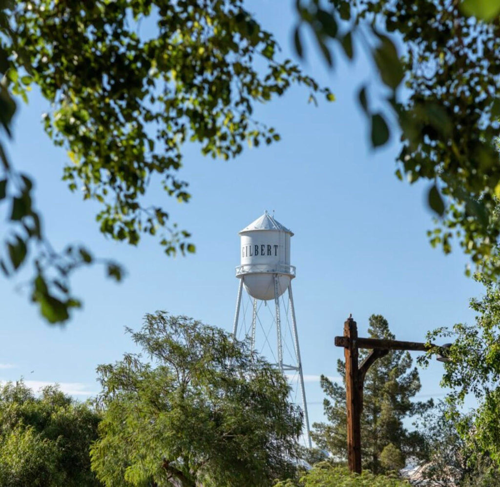 Gilbert Water Tower Dinner | October 25th