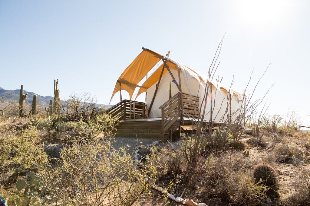 Tucson Desert Dinner at Under Canvas | October 5, 2019