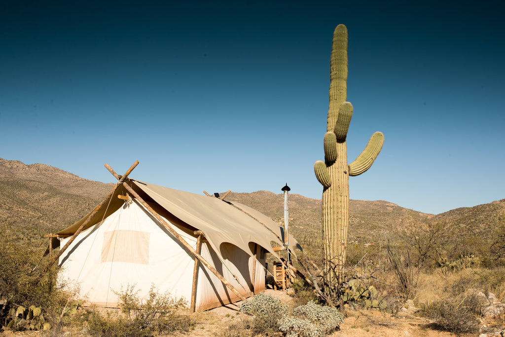 Tucson Desert Dinner at Under Canvas | October 5, 2019