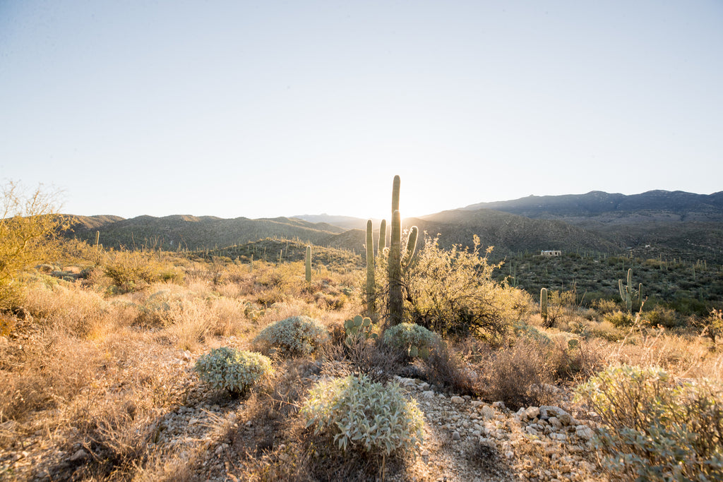 Tucson Desert Dinner at Under Canvas | October 5, 2019