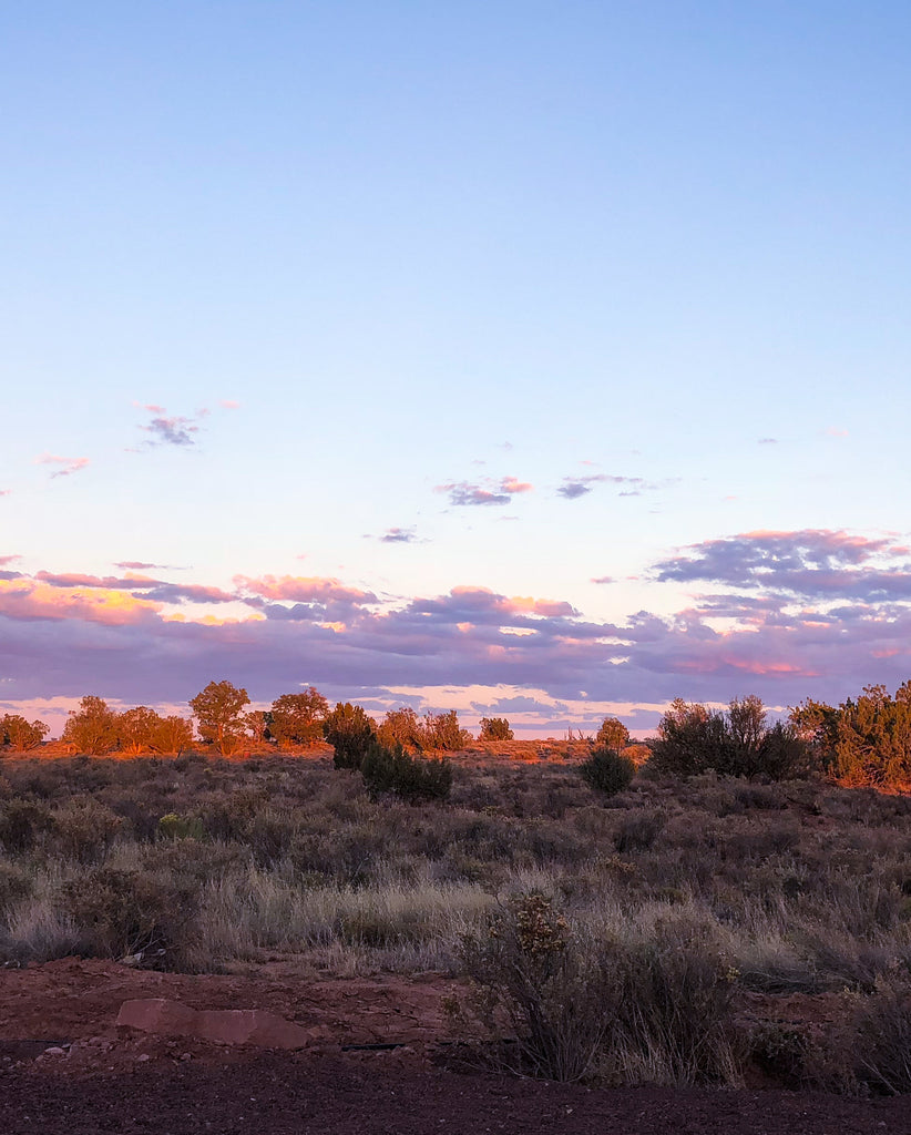 Wilderness Dinner at Under Canvas Grand Canyon | June 22, 2019