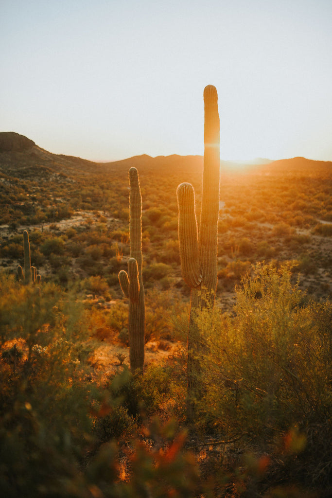 Superstitions Dinner w/ The Senators | December 14th