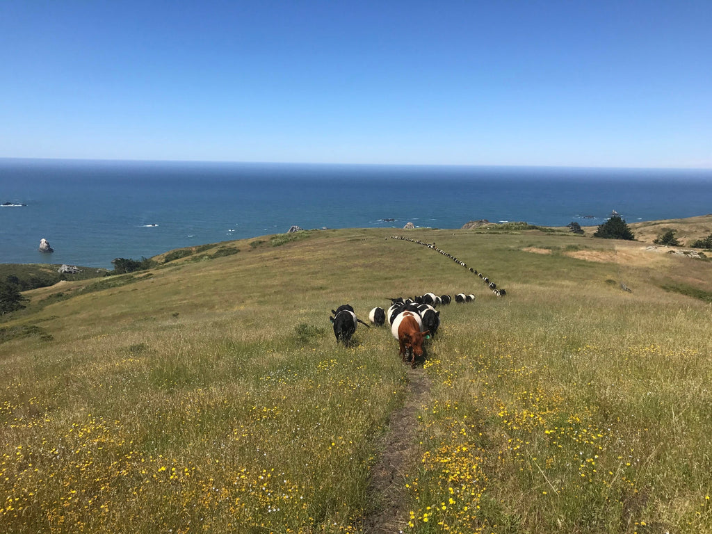 (OUT) WEST. Dinner in Half Moon Bay | September 16, 2023