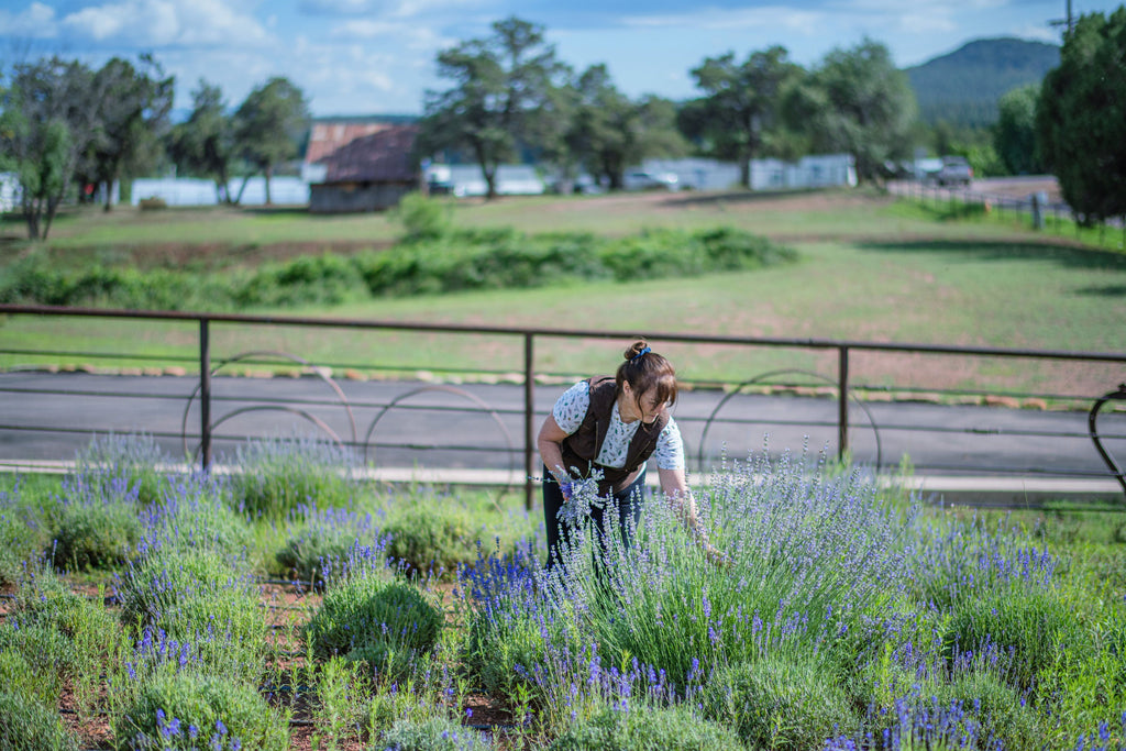 Dinner at the Lavender Farm | June 17, 2023