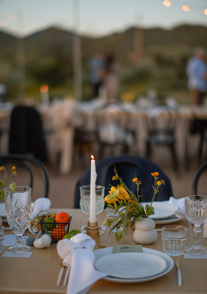 Boyce Thompson Arboretum 2025 Green Gala