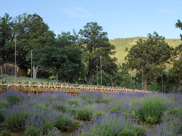 Dinner at the Lavender Farm | September 6, 2025
