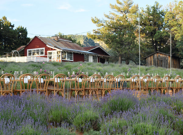 Dinner at the Lavender Farm | June 27, 2026