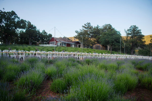 Dinner At The Lavender Farm | June 29, 2024