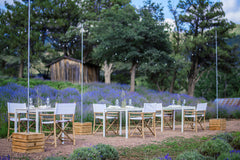 00HEROshot_240x240.jpg?v=