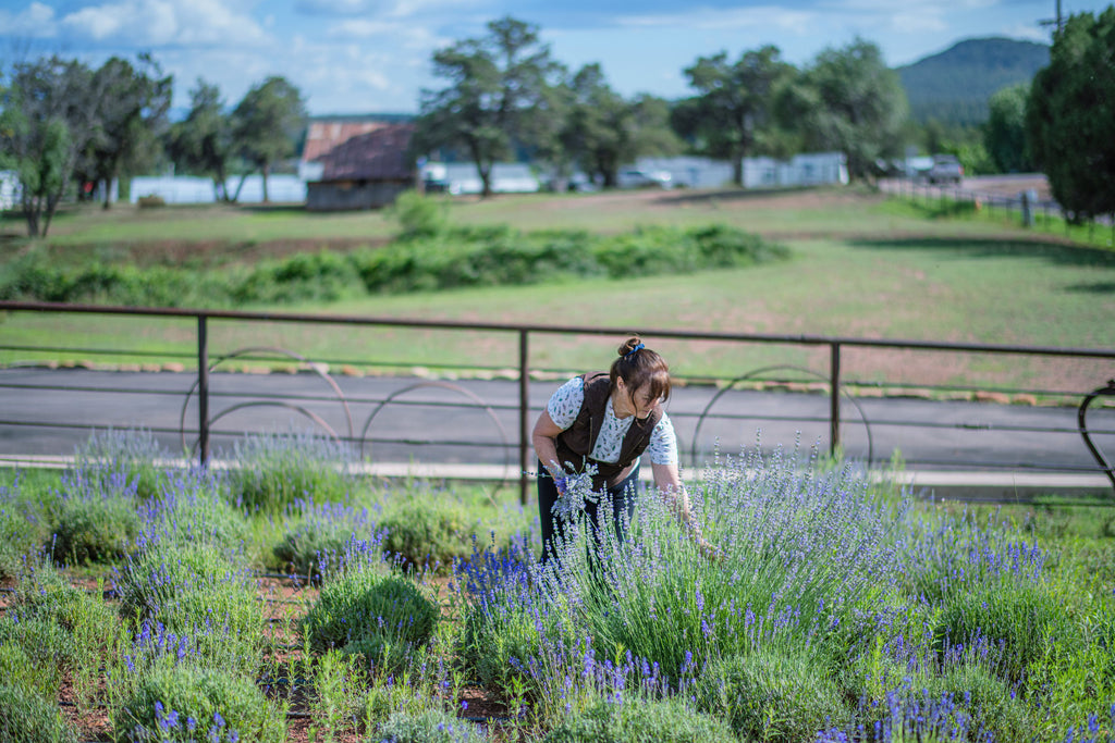 Arizona Office of Tourism "Meet the Makers" Dinner at Pine Creek Canyon Lavender Farm | October 3, 2021