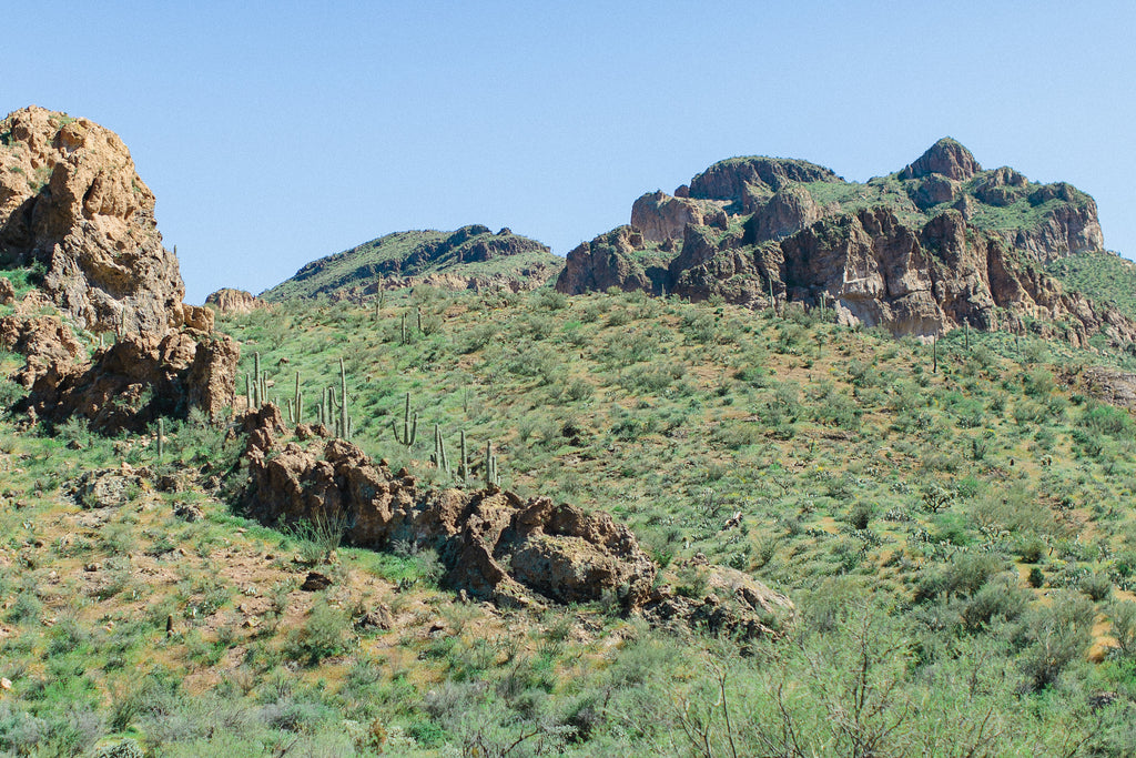 Cloth & Flame Superstition Mountains Dinner | May 11, 2019