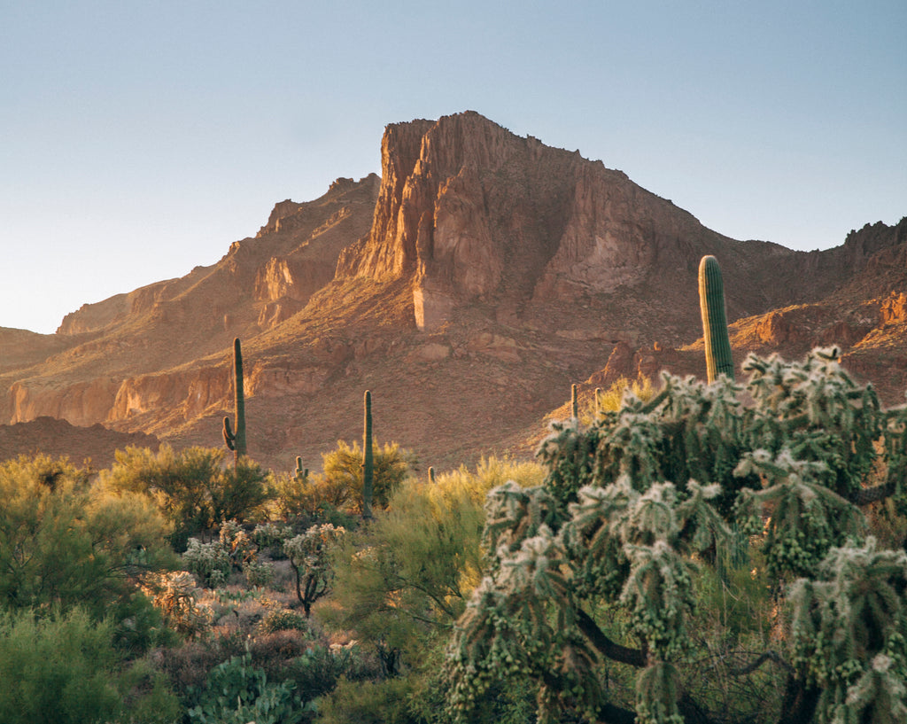 Superstition Mountains Desert Dinner | October 11, 2019