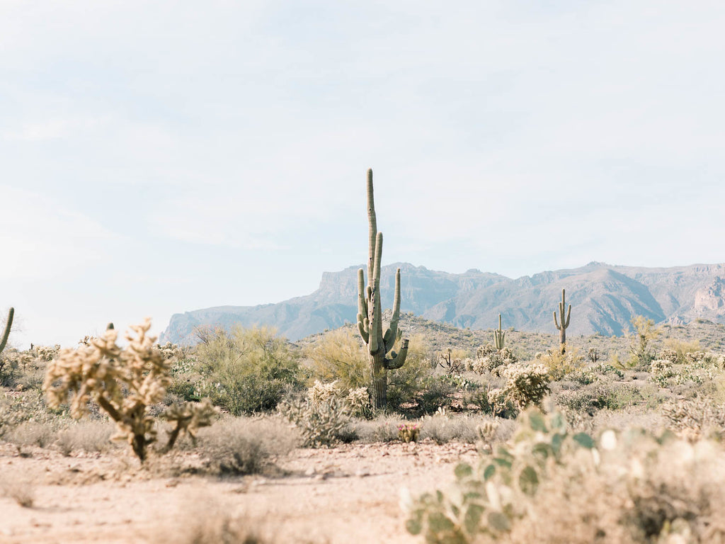 Cloth & Flame Superstition Mountains Dinner | May 11, 2019