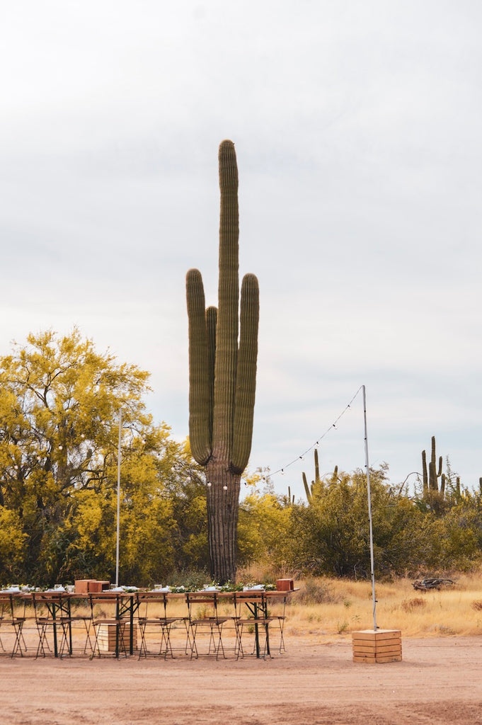 Scottsdale Desert Dinner | December 13th