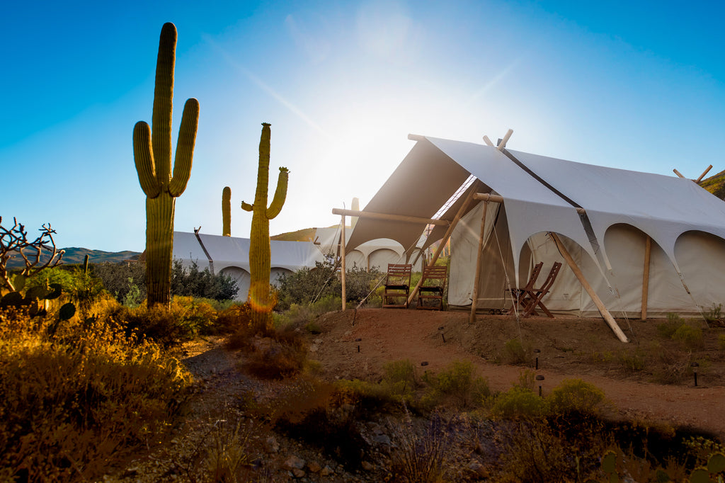 Tucson Desert Dinner at Under Canvas | October 5, 2019