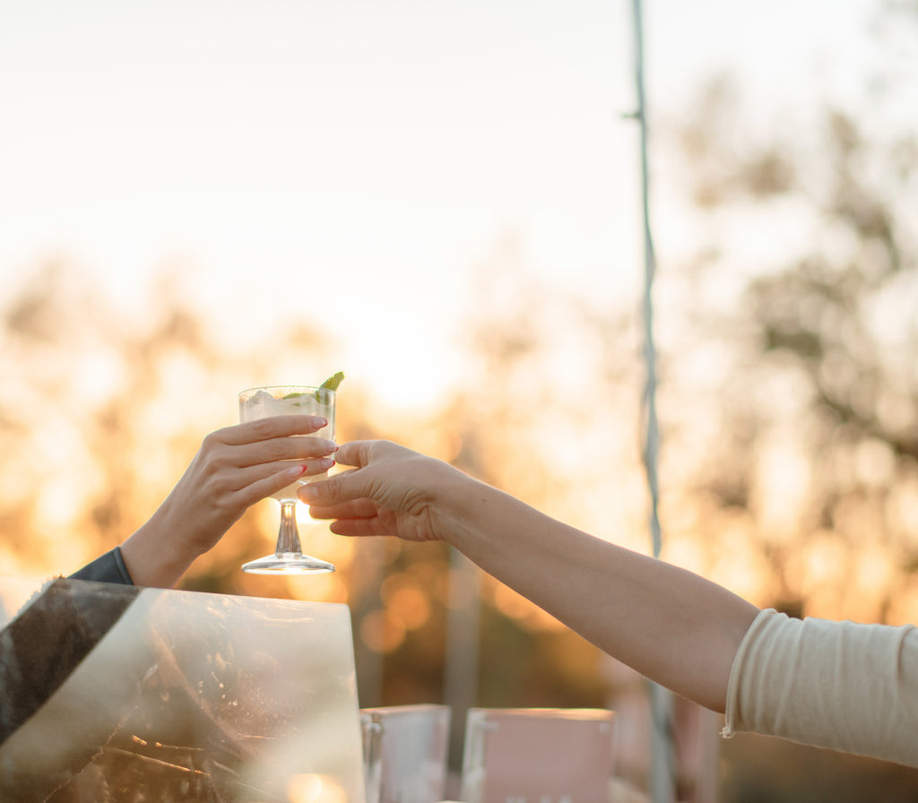 Sunset in the Sonoran Desert Dinner | January 23, 2022